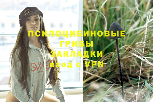 бошки Вязьма