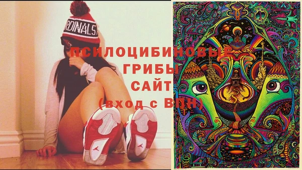 Альфа ПВП Вязники
