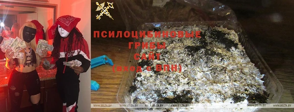 бошки Вязьма